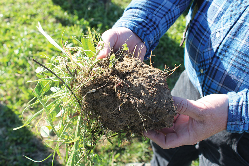 A closer look at the soil